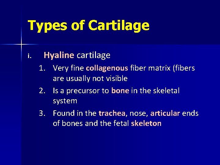 Types of Cartilage i. Hyaline cartilage 1. Very fine collagenous fiber matrix (fibers are