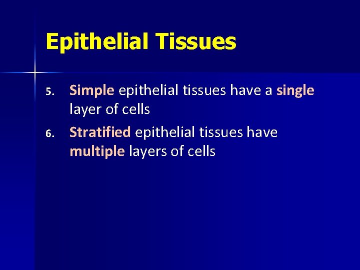 Epithelial Tissues 5. 6. Simple epithelial tissues have a single layer of cells Stratified