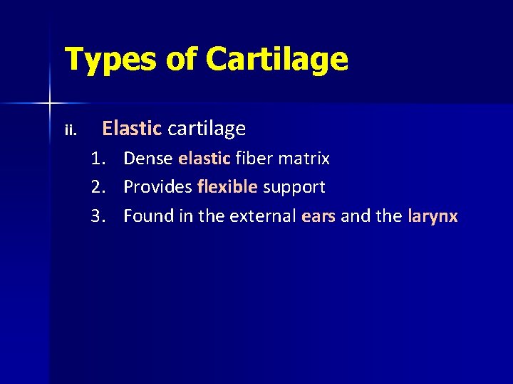 Types of Cartilage ii. Elastic cartilage 1. 2. 3. Dense elastic fiber matrix Provides