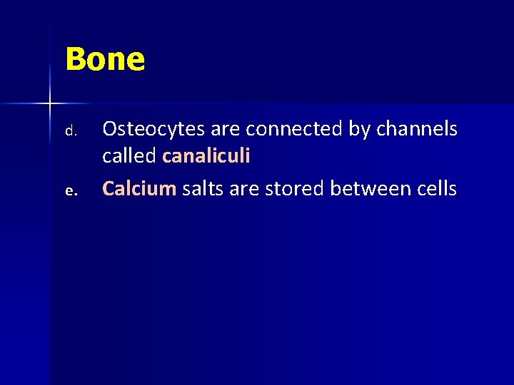 Bone d. e. Osteocytes are connected by channels called canaliculi Calcium salts are stored