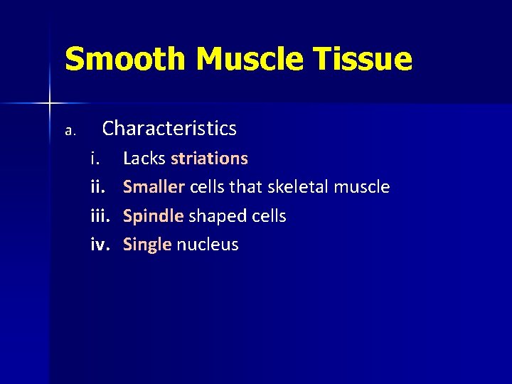 Smooth Muscle Tissue a. Characteristics i. iii. iv. Lacks striations Smaller cells that skeletal