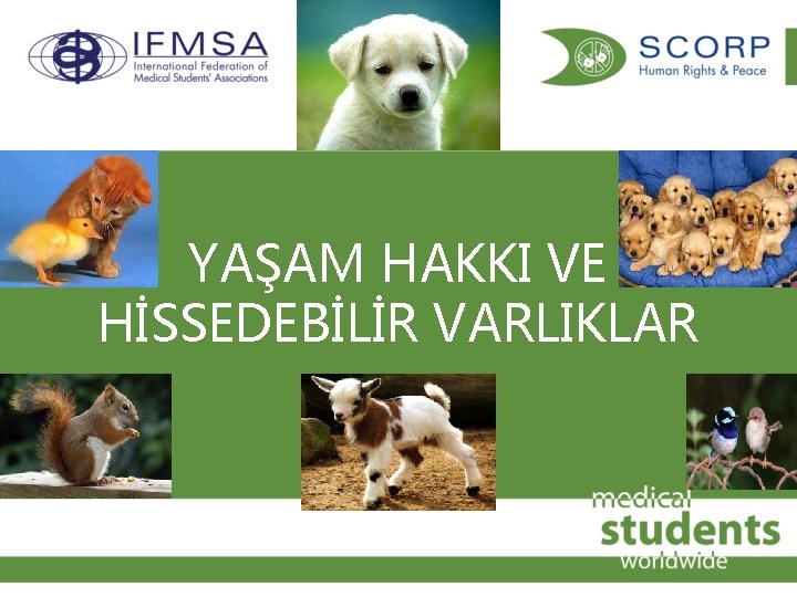 YAŞAM HAKKI VE HİSSEDEBİLİR VARLIKLAR 