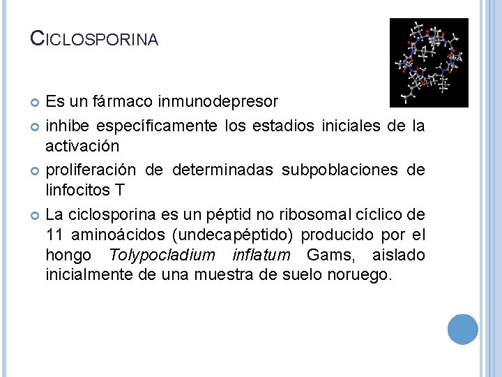 CICLOSPORINA Es un fármaco inmunodepresor inhibe específicamente los estadios iniciales de la activación proliferación