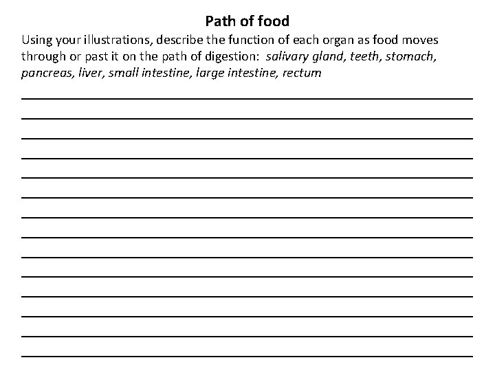 Path of food Using your illustrations, describe the function of each organ as food