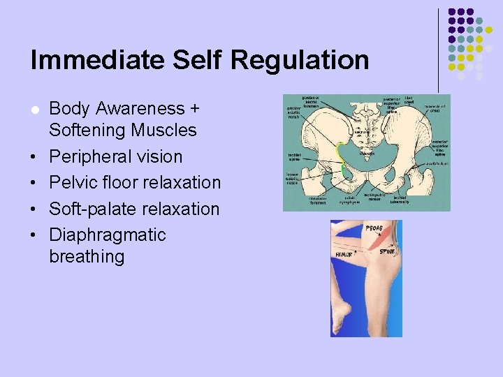 Immediate Self Regulation l • • Body Awareness + Softening Muscles Peripheral vision Pelvic