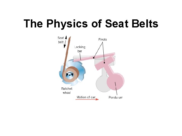 The Physics of Seat Belts 