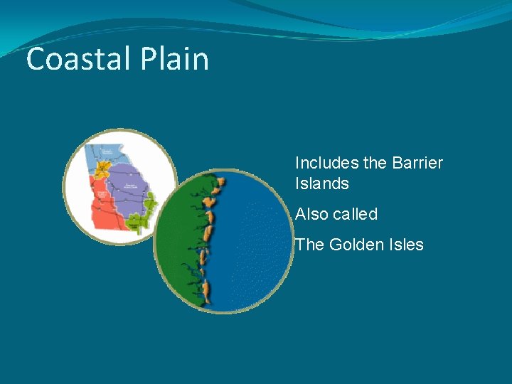 Coastal Plain Includes the Barrier Islands Also called The Golden Isles 