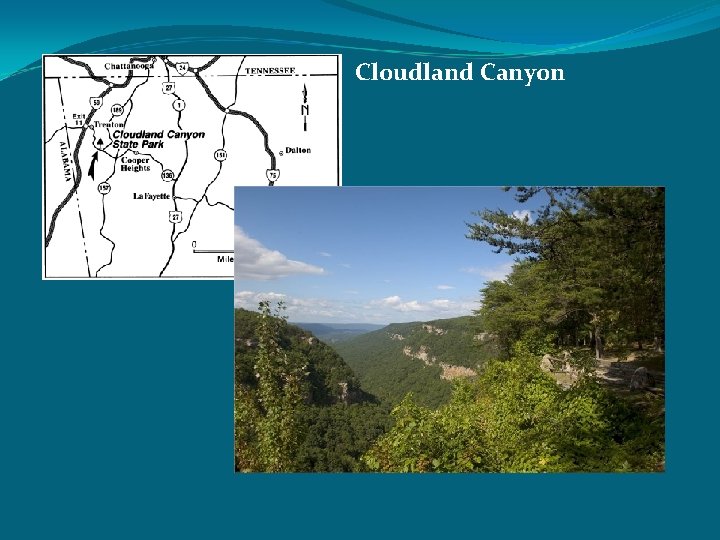 Cloudland Canyon 