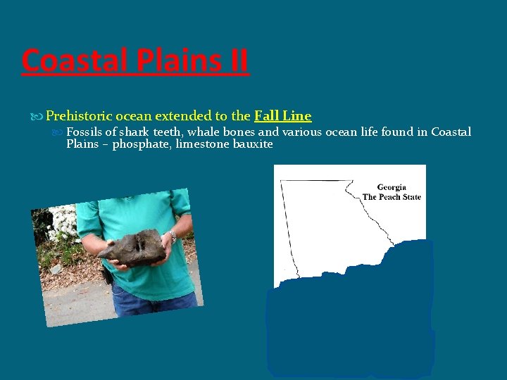 Coastal Plains II Prehistoric ocean extended to the Fall Line Fossils of shark teeth,