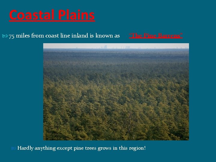 Coastal Plains 75 miles from coast line inland is known as “The Pine Barrens”