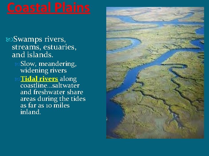 Coastal Plains Swamps rivers, streams, estuaries, and islands. Slow, meandering, widening rivers Tidal rivers