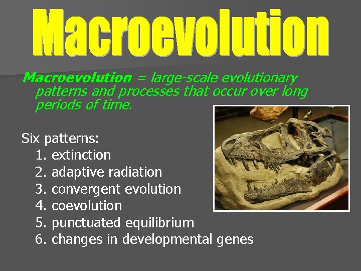 Macroevolution = large-scale evolutionary patterns and processes that occur over long periods of time.