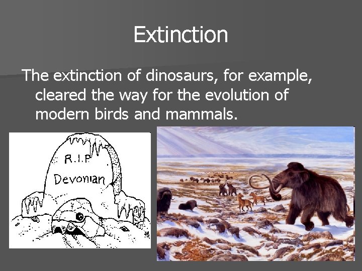 Extinction The extinction of dinosaurs, for example, cleared the way for the evolution of