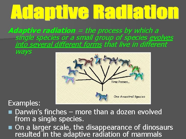 Adaptive radiation = the process by which a single species or a small group