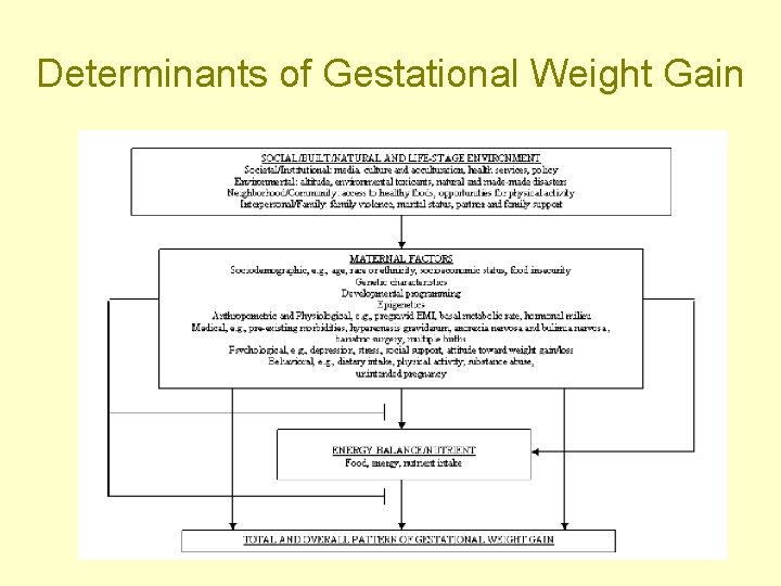 Determinants of Gestational Weight Gain 