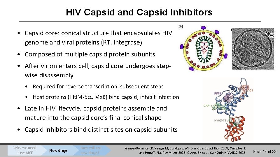 HIV Capsid and Capsid Inhibitors • Capsid core: conical structure that encapsulates HIV genome