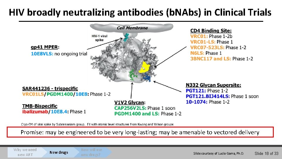 HIV broadly neutralizing antibodies (b. NAbs) in Clinical Trials Promise: may be engineered to