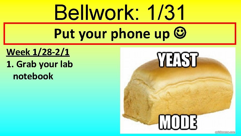 Bellwork: 1/31 Put your phone up Week 1/28 -2/1 1. Grab your lab notebook