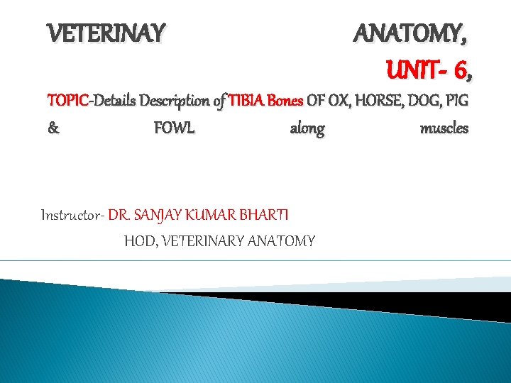 VETERINAY ANATOMY, UNIT- 6, TOPIC-Details Description of TIBIA Bones OF OX, HORSE, DOG, PIG