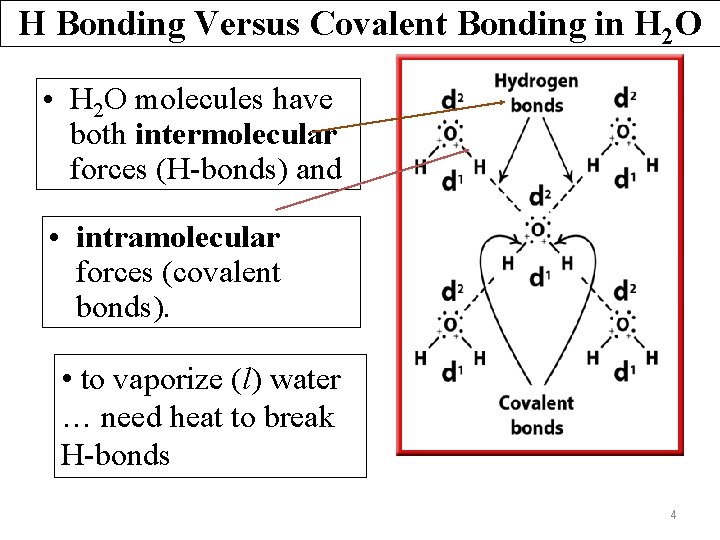 H Bonding Versus Covalent Bonding in H 2 O • H 2 O molecules