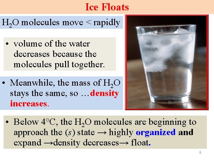 Ice Floats H 2 O molecules move < rapidly • volume of the water