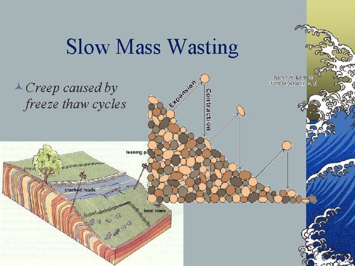 Slow Mass Wasting © Creep caused by freeze thaw cycles 