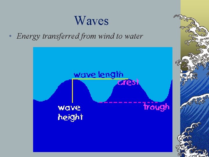 Waves • Energy transferred from wind to water 