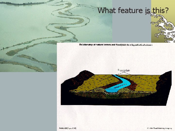 What feature is this? 