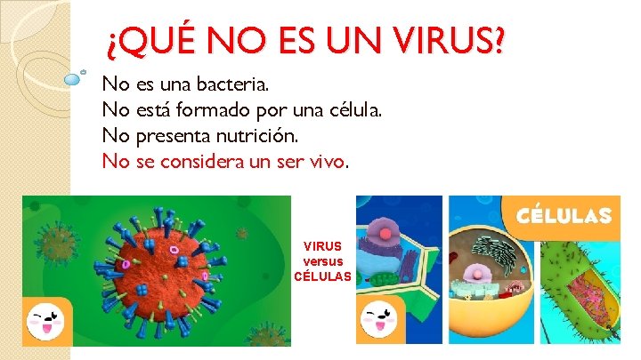 ¿QUÉ NO ES UN VIRUS? No es una bacteria. No está formado por una