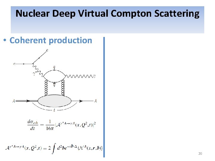 Nuclear Deep Virtual Compton Scattering • Coherent production 20 