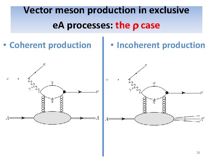Vector meson production in exclusive e. A processes: the case • Coherent production •