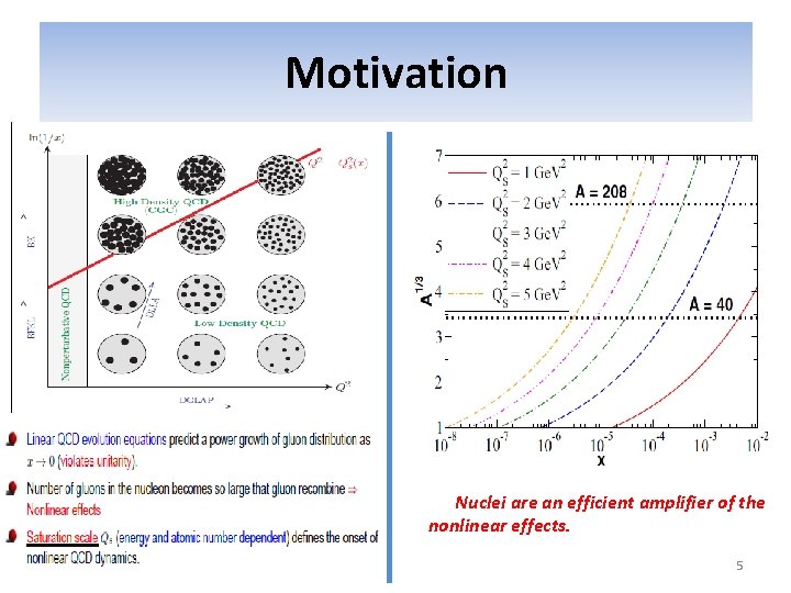 Motivation Nuclei are an efficient amplifier of the nonlinear effects. 5 