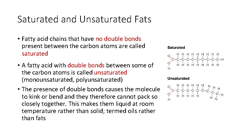Saturated and Unsaturated Fats • Fatty acid chains that have no double bonds present