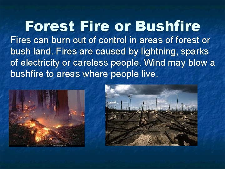 Forest Fire or Bushfire Fires can burn out of control in areas of forest