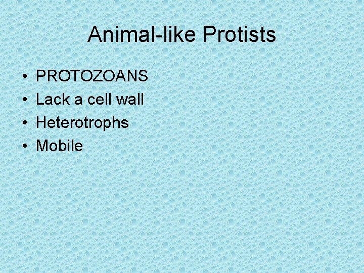 Animal-like Protists • • PROTOZOANS Lack a cell wall Heterotrophs Mobile Animal-like Protists • • PROTOZOANS Lack a cell wall Heterotrophs Mobile