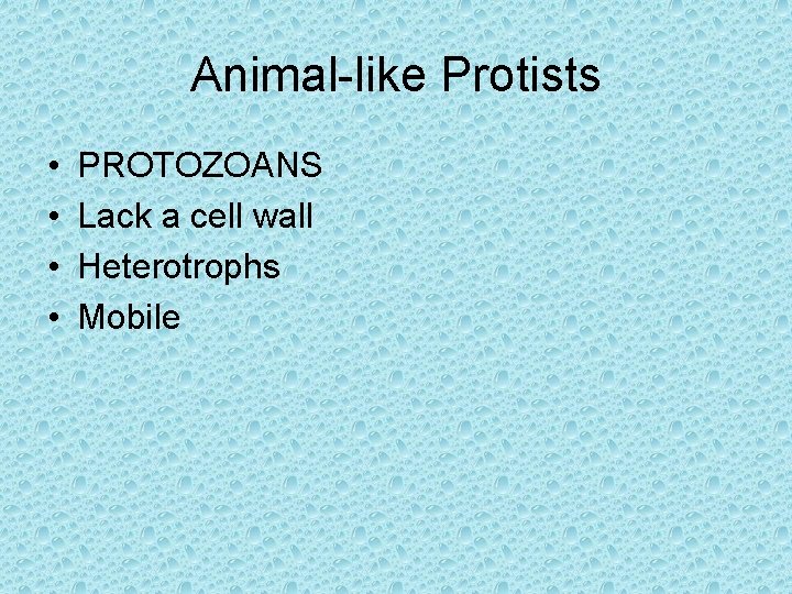 Animal-like Protists • • PROTOZOANS Lack a cell wall Heterotrophs Mobile 