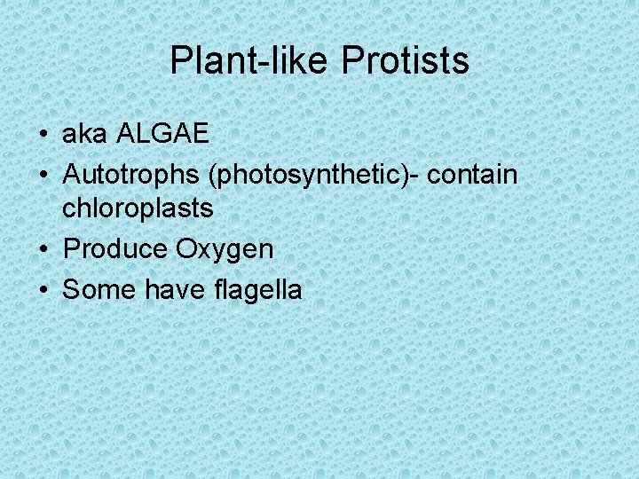Plant-like Protists • aka ALGAE • Autotrophs (photosynthetic)- contain chloroplasts • Produce Oxygen •