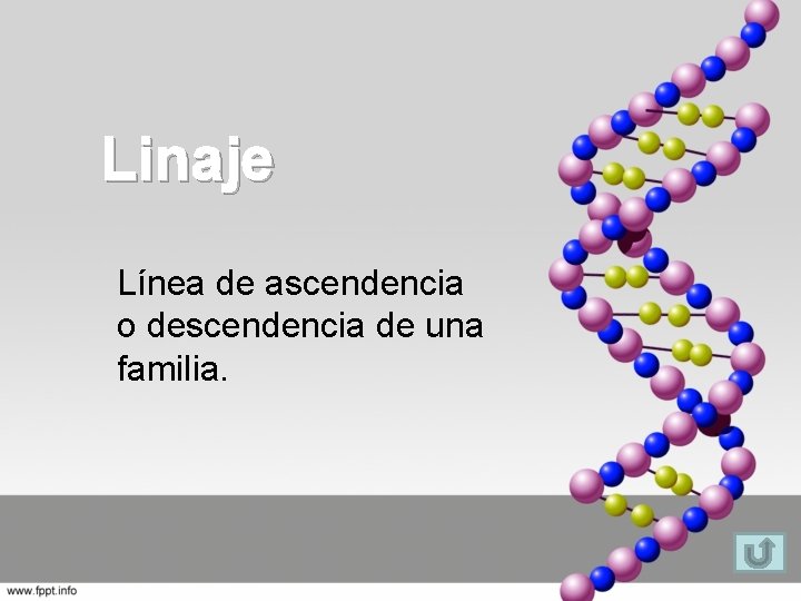 Linaje Línea de ascendencia o descendencia de una familia. 