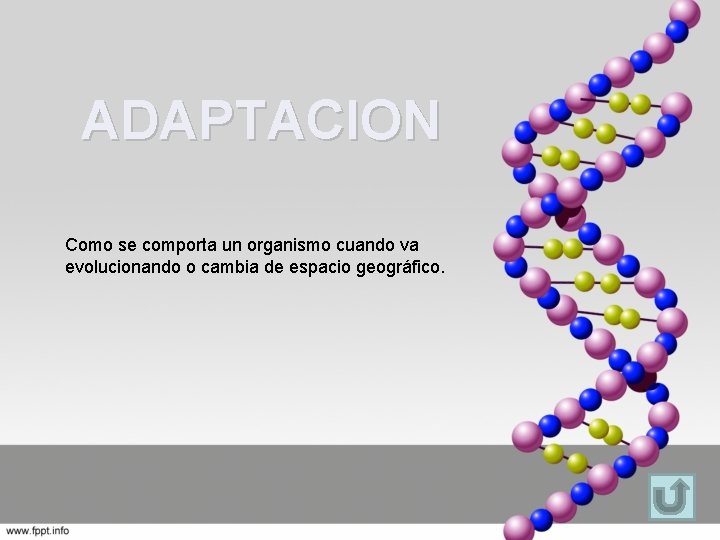 ADAPTACION Como se comporta un organismo cuando va evolucionando o cambia de espacio geográfico.