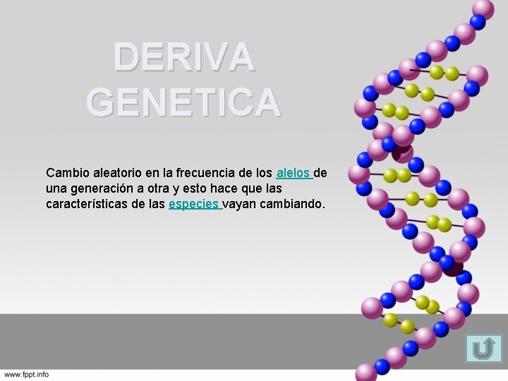 DERIVA GENETICA Cambio aleatorio en la frecuencia de los alelos de una generación a