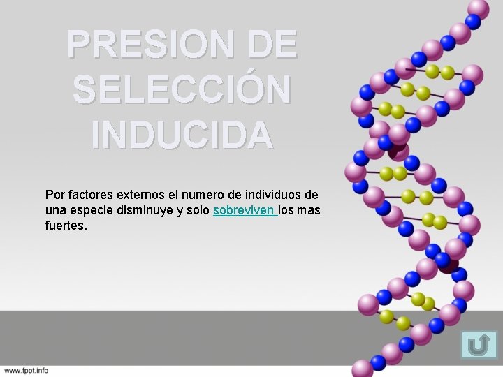 PRESION DE SELECCIÓN INDUCIDA Por factores externos el numero de individuos de una especie