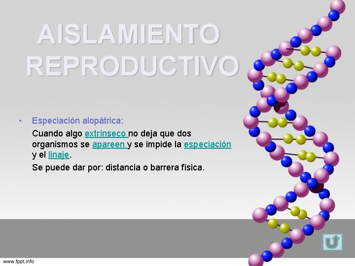 AISLAMIENTO REPRODUCTIVO • Especiación alopátrica: Cuando algo extrínseco no deja que dos organismos se