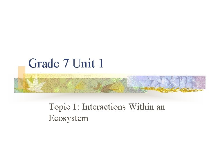 Grade 7 Unit 1 Topic 1 Interactions Within