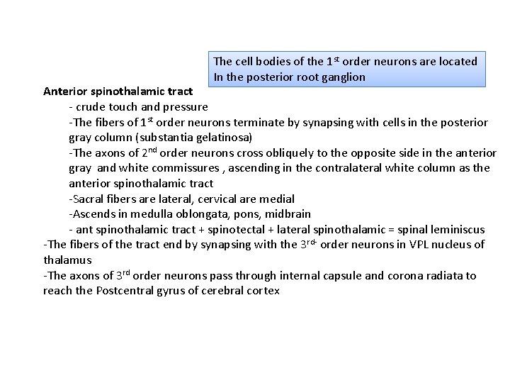 The cell bodies of the 1 st order neurons are located In the posterior