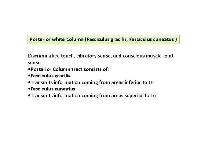 Posterior white Column (Fasciculus gracilis, Fasciculus cuneatus ) Discriminative touch, vibratory sense, and conscious