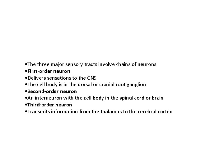  • The three major sensory tracts involve chains of neurons • First-order neuron