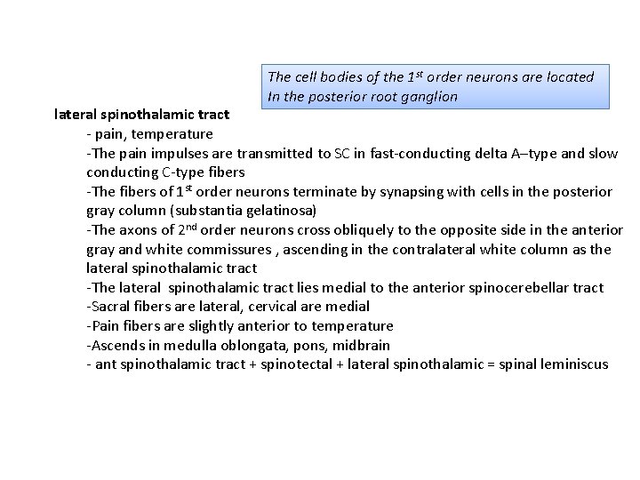 The cell bodies of the 1 st order neurons are located In the posterior