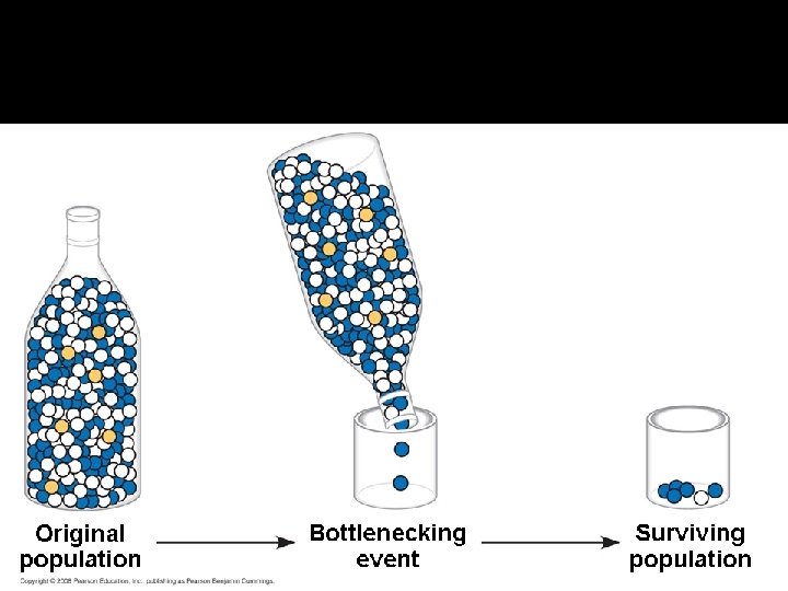 The Evolution of Populations Chapter 23 1 Darwins