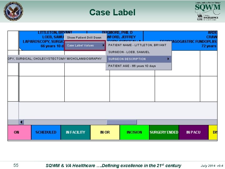 Case Label 55 SQWM & VA Healthcare …. Defining excellence in the 21 st