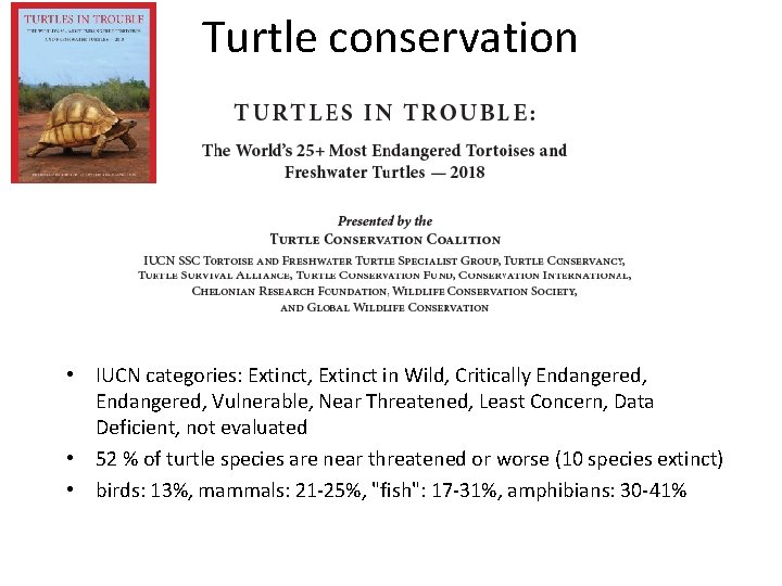 Turtle conservation • IUCN categories: Extinct, Extinct in Wild, Critically Endangered, Vulnerable, Near Threatened,